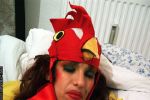 DebraKate ChickenAtRest 6253